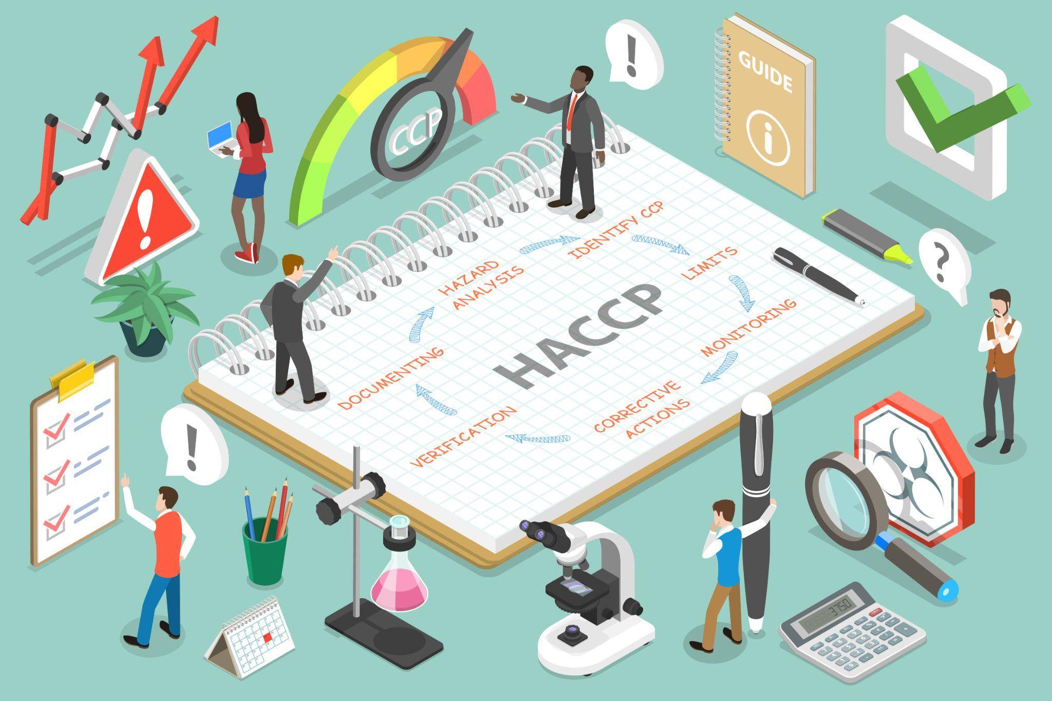 haccp-certification-1
