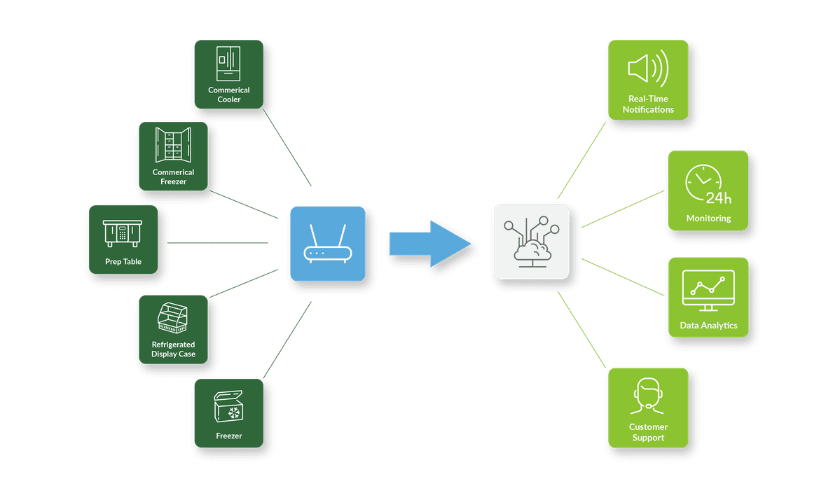 Real time food monitoring